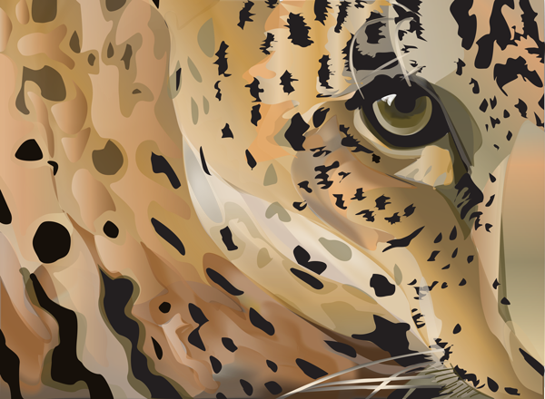 Illustrator - Jaguar Illustration